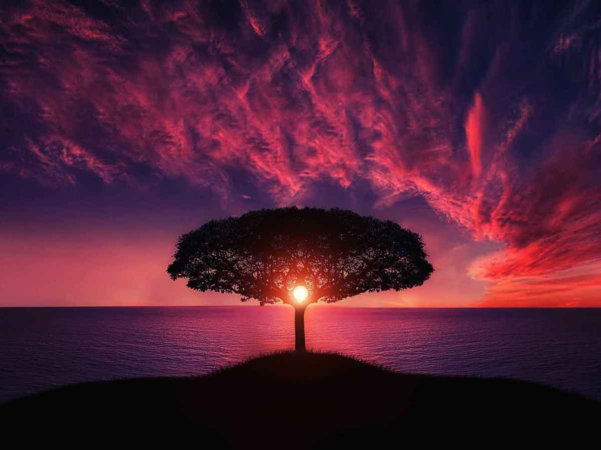Covid-19: A Global Wake-Up Call