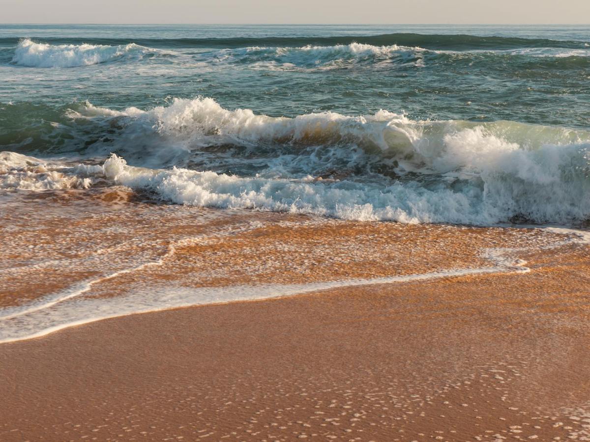 The Art of Staying | Learning to Sit with Uncomfortable Emotions